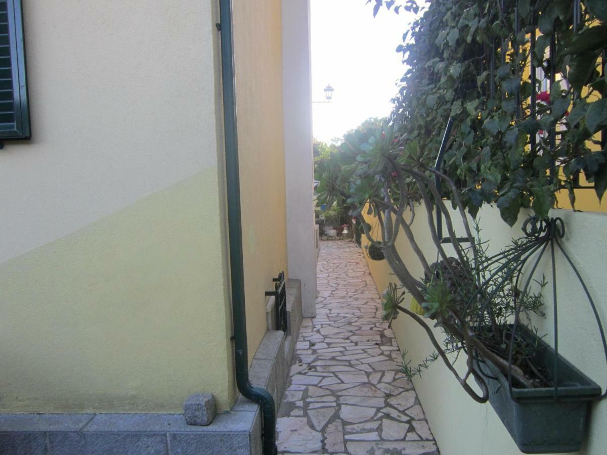 Studio&garden Lisboa